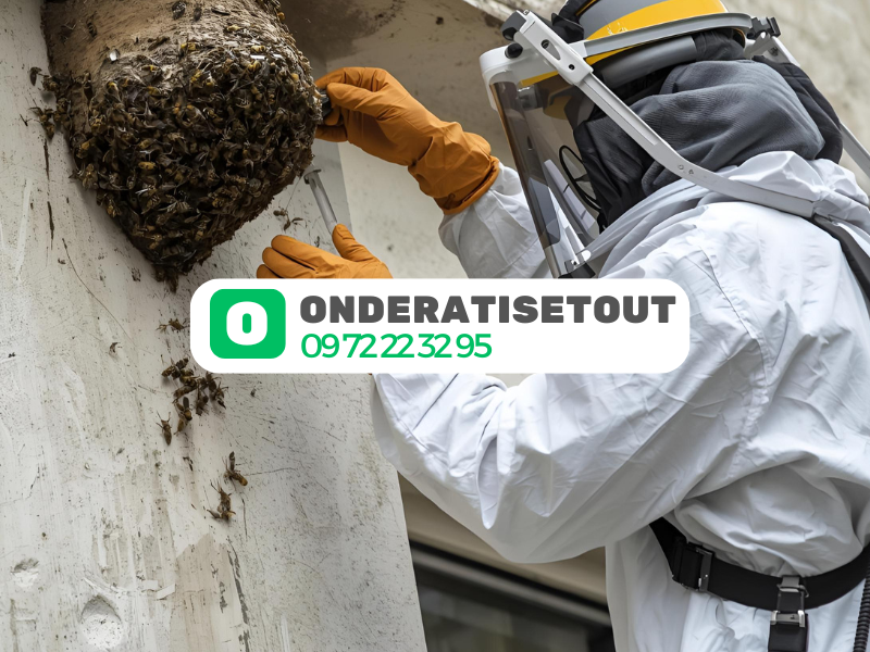 Destruction nid de guêpes et frelons Paris - Intervention sécurisée le jour même